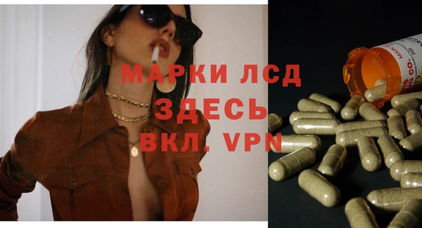 мет Алексин
