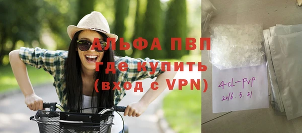 мет Алексин