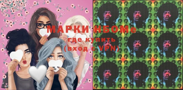 мет Алексин