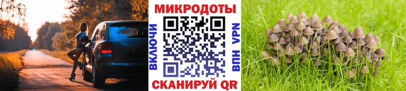 Псилоцибиновые грибы мицелий  Гусь-Хрустальный 